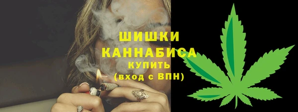 скорость Каменка