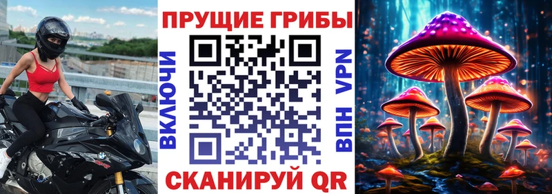 Галлюциногенные грибы мицелий Новая Ладога
